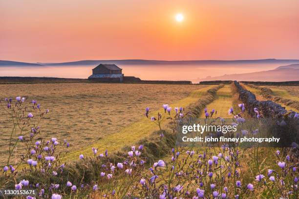 hope valley misty sunrise, castleton, derbyshire, peak district. uk - peak district national park stock pictures, royalty-free photos & images