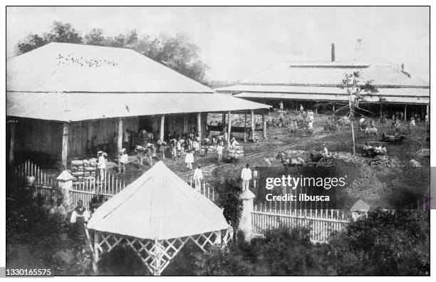 antique black and white photograph: sugar factory, negros island, philippines - negros occidental stock illustrations