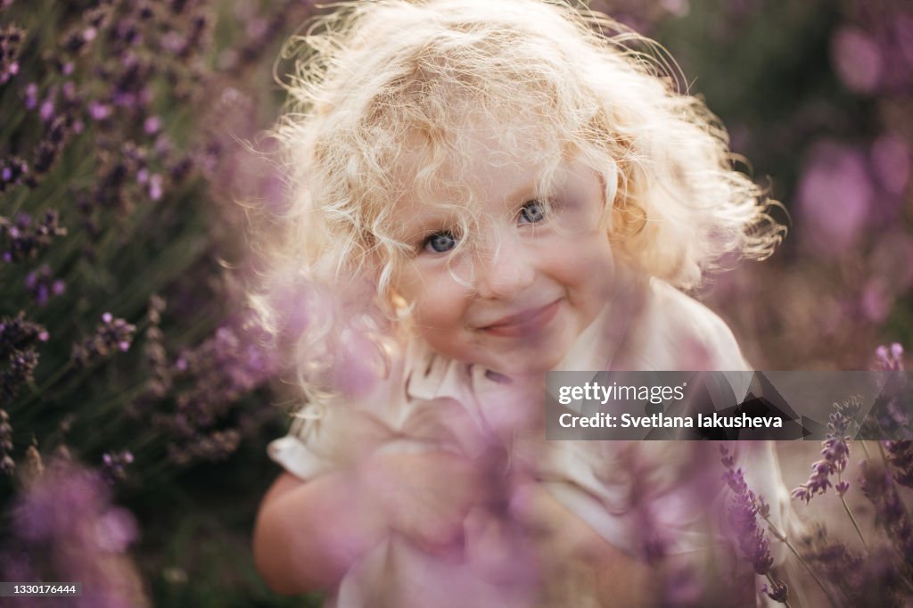 Toddler, a girl with blond curly hair and a dress the color of wheat, sits among rows of lavender bushes, hiding behind flowers, playfully looking at the camera. Cheerful and carefree look.