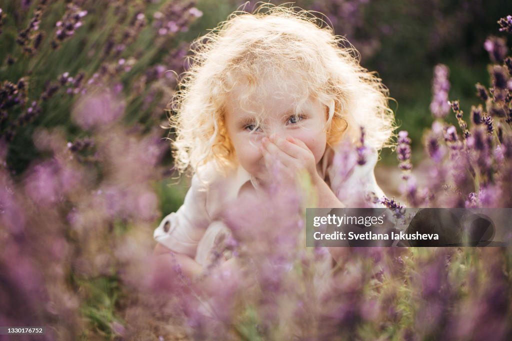 Toddler, a girl with blond curly hair and a dress the color of wheat, sits among rows of lavender bushes, hiding behind flowers, playfully looking at the camera, covering her mouth with her hand. Cheerful and carefree look.
