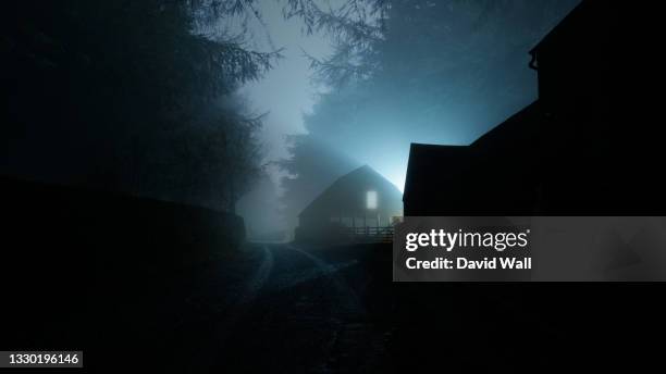 a horror concept of a house with a light in the window. in a spooky forest. on a dark, scary winters night. - dark woods stock pictures, royalty-free photos & images