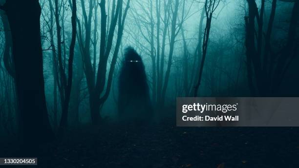 a supernatural concept. of a ghost with glowing eyes floating above the ground . in a spooky, winter forest at night - monstre photos et images de collection