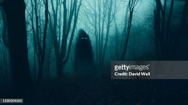 a supernatural concept. of a ghost with glowing eyes floating above the ground . in a spooky, winter forest at night - scary - fotografias e filmes do acervo