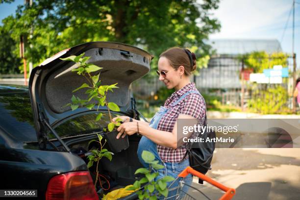 pregnant woman in protective face mask buying plants in a garden center - pregnant woman car stock pictures, royalty-free photos & images