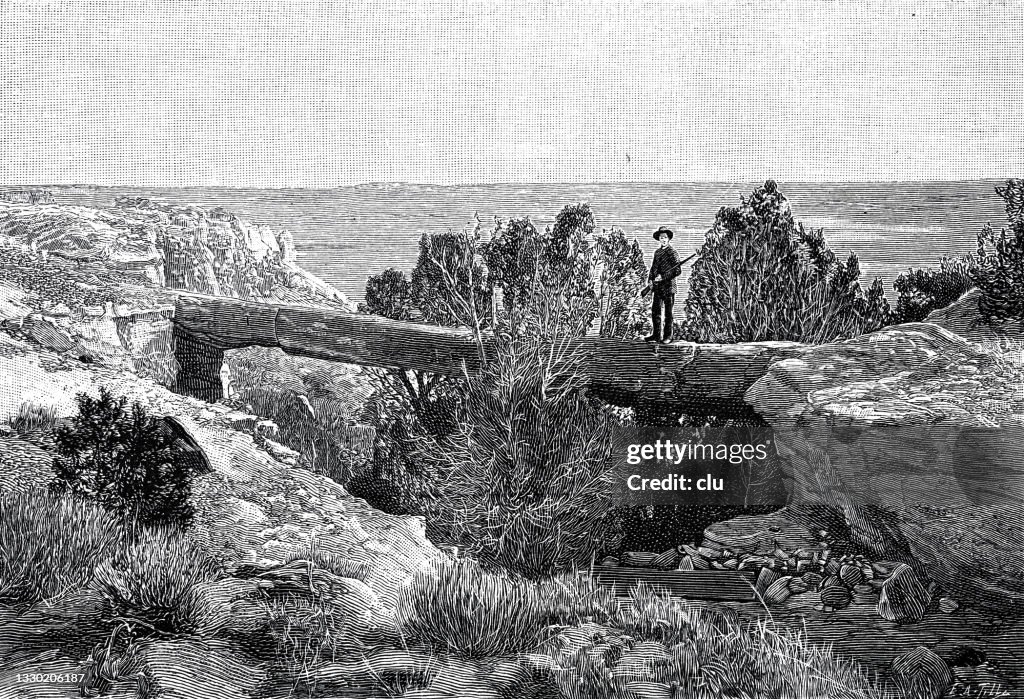 Bridge made of petrified trees, Arizona, Chalcedony Park