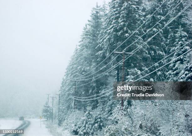 9,827 First Snowfall Stock Photos, High-Res Pictures, and Images ...