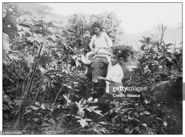 antique black and white photograph: filipino boys and caraboa - pacific islands stock illustrations