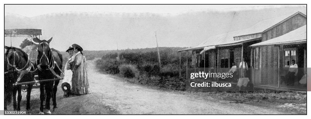 Antique black and white photograph: Road between Hilo and Volcano of Kilauea, Hawaii