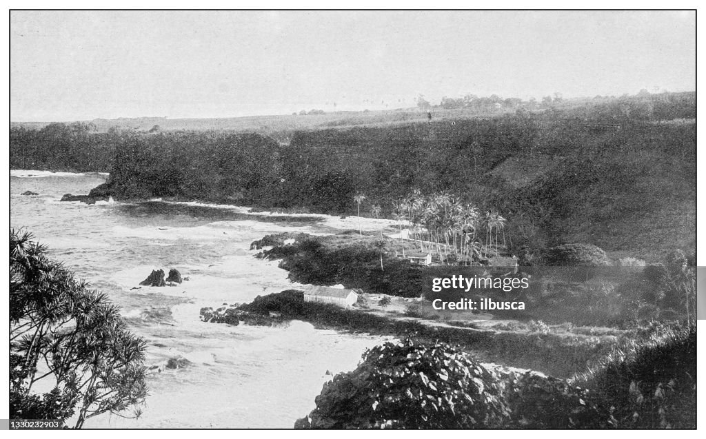 Antique black and white photograph: Onomea Bay, West Hawaii