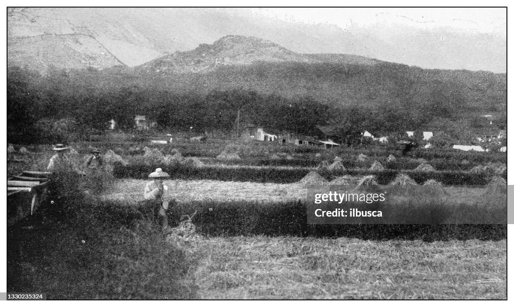 Antique black and white photograph: Island of Molokai, Hawaii