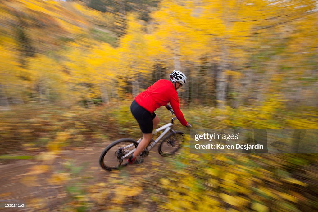 Mountain biking through aspen forest, Colorado