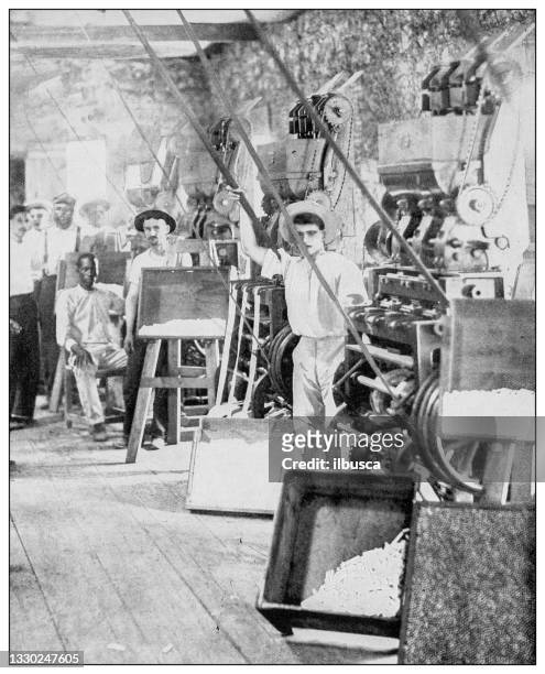 antique black and white photograph: cigarette factory in ponce, puerto rico - tobacco workers stock illustrations