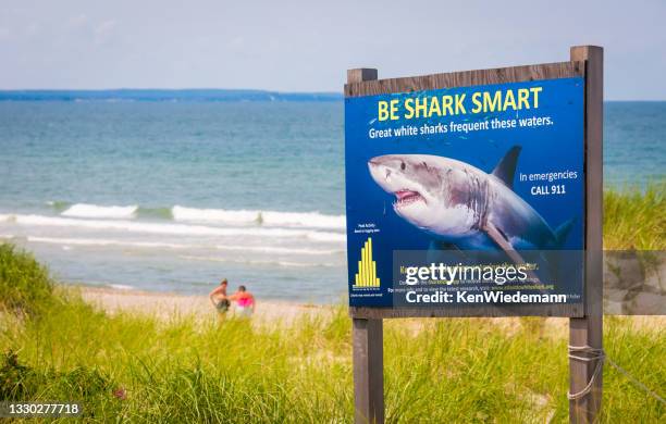 Beware Sharks Photos and Premium High Res Pictures - Getty Images