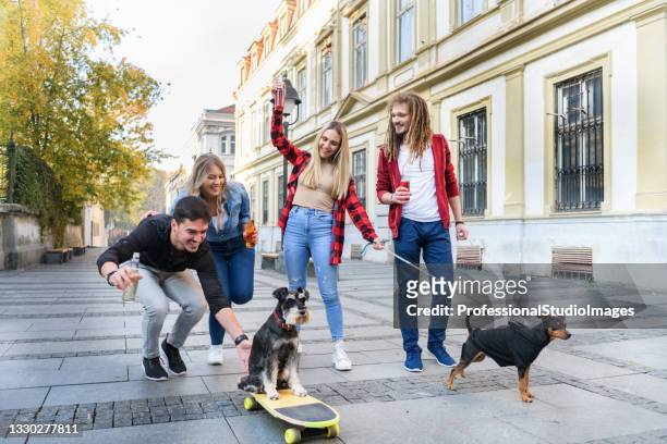 two young man and their girlfriends are walking in the city district with cute puppies, riding a skateboard. - dog skateboard stock pictures, royalty-free photos & images
