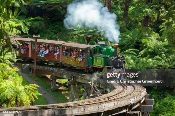 puffing billy steam train crosses the monbulk creek trestle bridge near belgrave, victoria - groenhout stock pictures, royalty-free photos & images