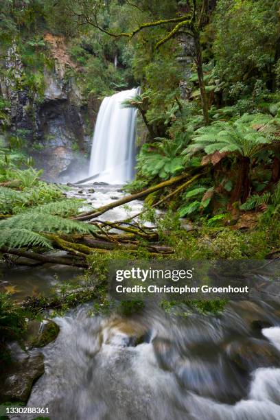 hopetoun falls in the otways region of victoria - groenhout stock pictures, royalty-free photos & images