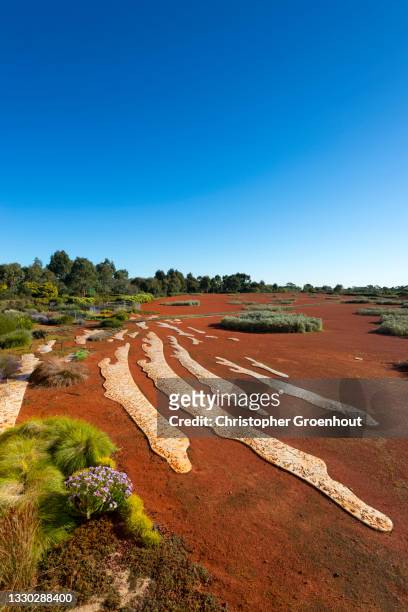 red sand garden at the australian garden in the royal botanic gardens, cranbourne - groenhout stock pictures, royalty-free photos & images
