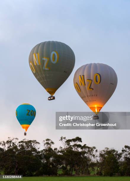 three hot air balloons in the yarra valley in the early morning - groenhout photos et images de collection