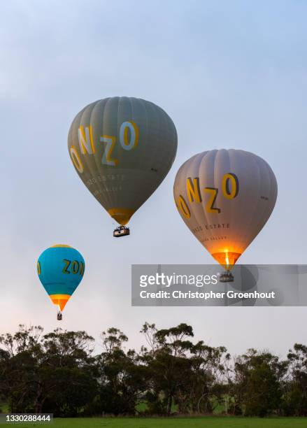 three hot air balloons in the yarra valley in the early morning - groenhout stock pictures, royalty-free photos & images