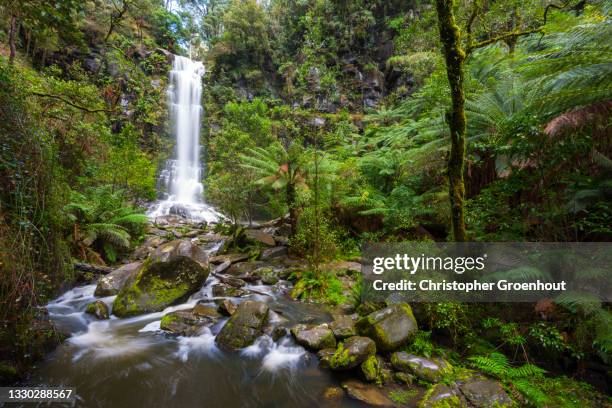 erskine falls waterfall near lorne in victoria - groenhout photos et images de collection