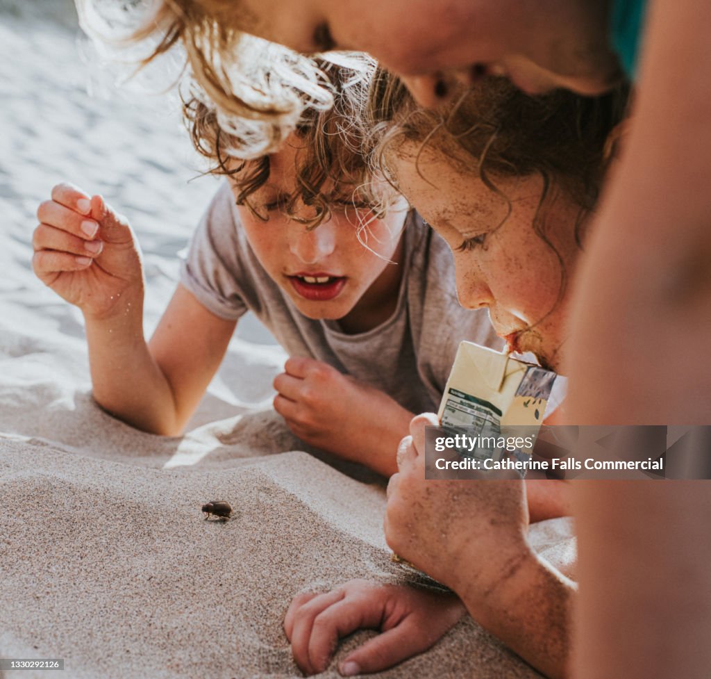 Curious children gather around a beetle and watch it intently as it walks over the sand