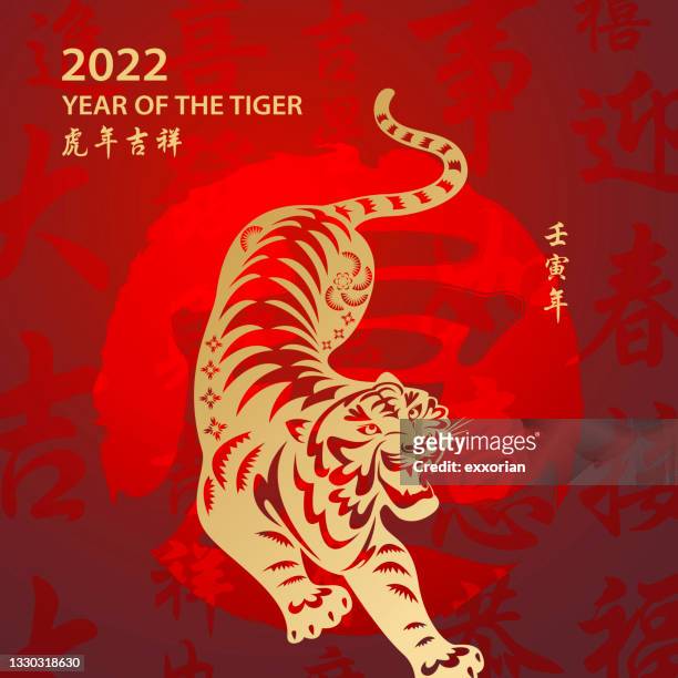 illustrazioni stock, clip art, cartoni animati e icone di tendenza di anno d'oro della tigre - cinese