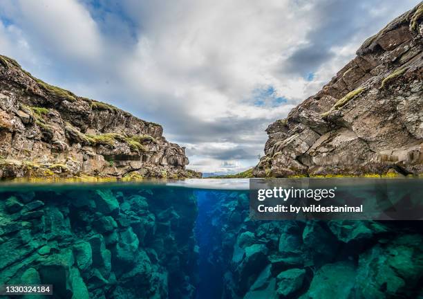 split level view of the silfra crack or fissure in thingvellir national park, iceland. - underwater stock pictures, royalty-free photos & images