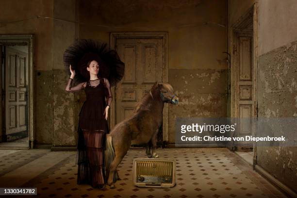 elegant lady with tiny horse - horse show stockfoto's en -beelden
