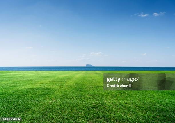 lawn by the sea - horizont über land stock-fotos und bilder