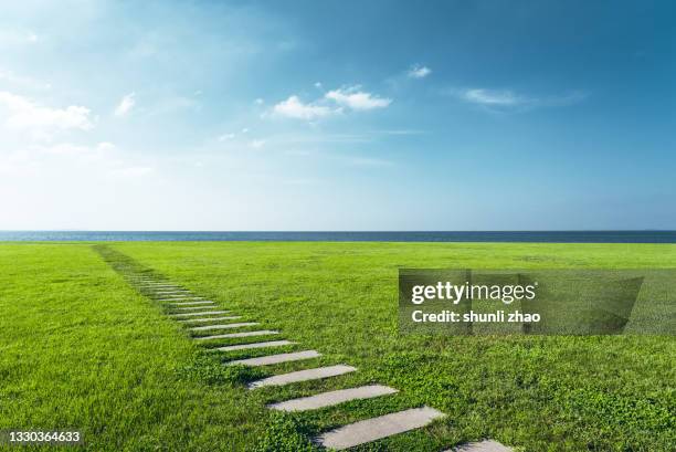 lawn by the sea - green grass fotografías e imágenes de stock