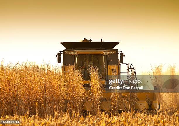 harvesting corn in nebraska. - mietitrebbia foto e immagini stock
