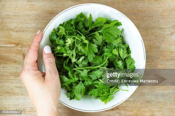 women hand put plate of green herbal salad on old wooden table. healthy eating dieting concept - koriander stockfoto's en -beelden