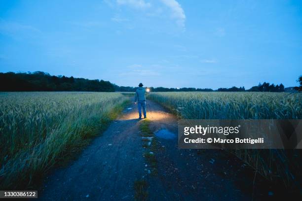 man walking with a lantern in a pathway among wheat fields - searching for something stock-fotos und bilder