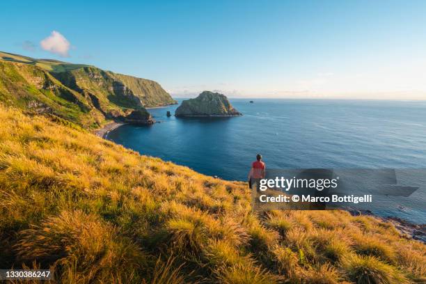 man looking at view of the wild coast at sunset in the azores - flores stock-fotos und bilder
