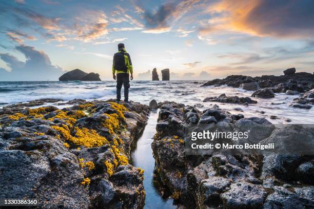one man admiring the view of the coast in sao miguel, azores - azores stock pictures, royalty-free photos & images