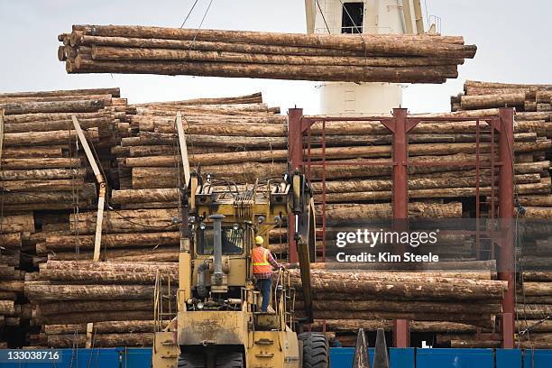 logging in pacific northwest - industria forestal fotografías e imágenes de stock