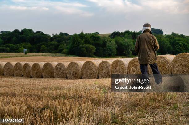 senior man standing in a field after harvest - waxed jacket stock pictures, royalty-free photos & images
