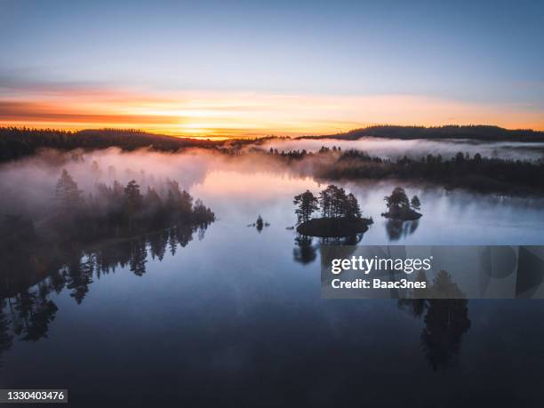 aerial view - sunrise in the forest - beautiful sunrise stockfoto's en -beelden