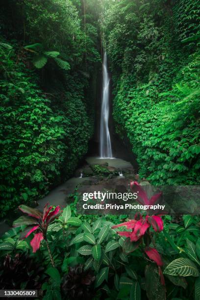 leke leke waterfall in bali - bali waterfall stock pictures, royalty-free photos & images