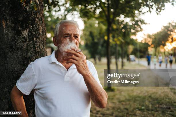 hombre mayor fuma cigarros en el parque público al atardecer - fumar temas sociales fotografías e imágenes de stock