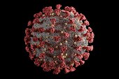 Detailed and scientifically accurate 3D model of the SARS-CoV-2 virus at atomic resolution
