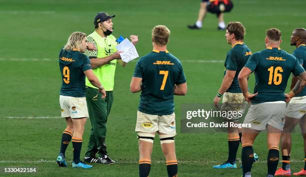Springbok Carriers 87,343 South African Springboks Rugby Team Stock Photos, High-Res ...