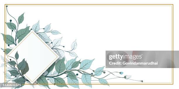 vektorbanner mit grünen blättern auf weißem hintergrund. exotisches botanisches design für kosmetik, parfüm, schönheitssalon, reisebüro, blumengeschäft. am besten als hochzeitseinladungskarten - wedding card stock-grafiken, -clipart, -cartoons und -symbole