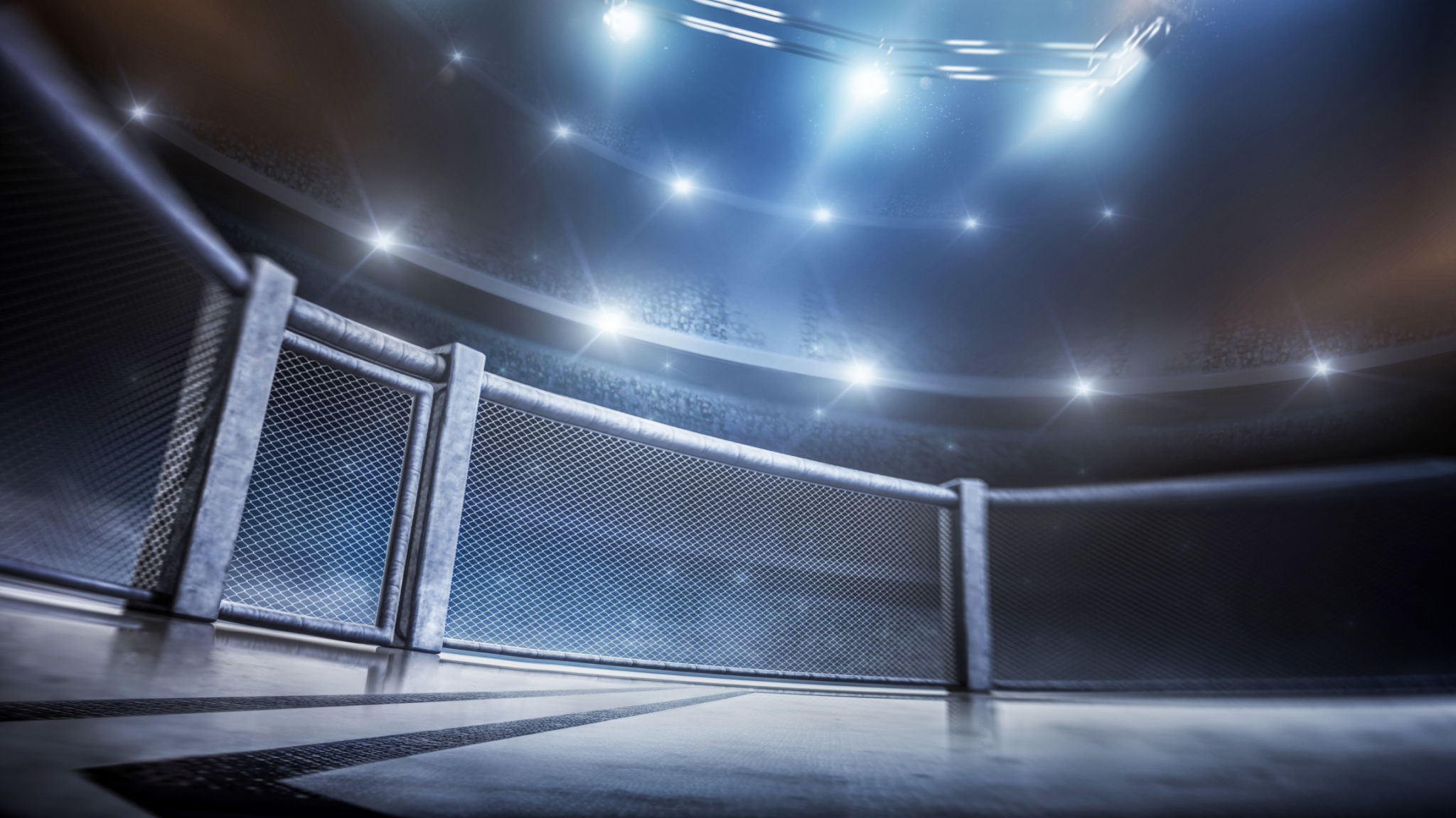 networking boxing