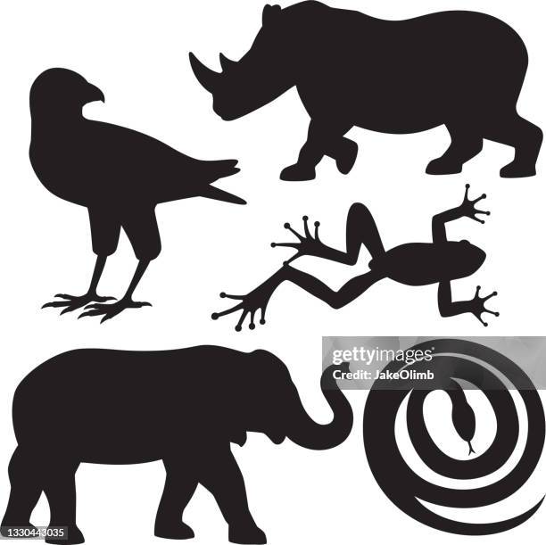 zoo animals silhouettes 1 - rhinoceros silhouette stock illustrations