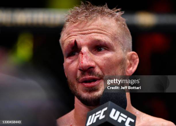 Dillashaw reacts after his split-decision victory over Corey Sandhagen in their bantamweight fight during the UFC Fight Night event at UFC APEX on...