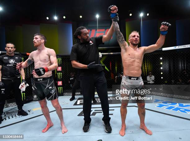 Dillashaw reacts after his split-decision victory over Corey Sandhagen in their bantamweight fight during the UFC Fight Night event at UFC APEX on...