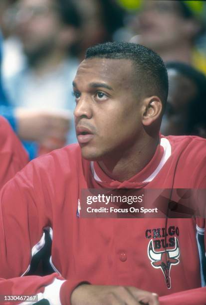 Bulls Scott Williams Photos and Premium High Res Pictures Getty Images