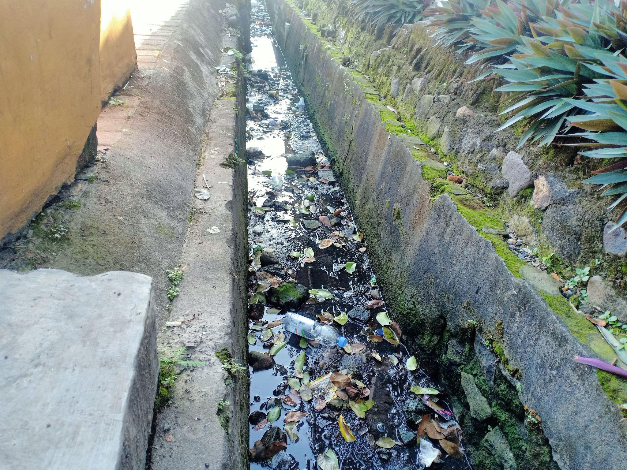 zanjas drenaje