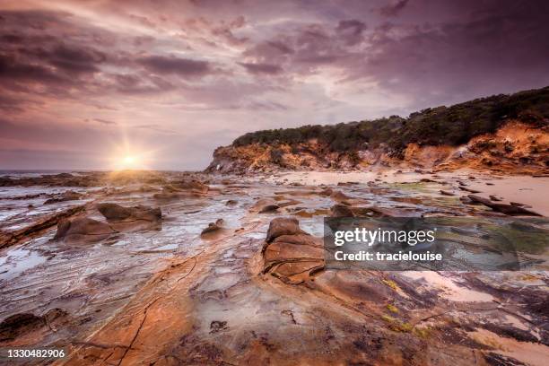 kilcunda vorland - gippsland stock-fotos und bilder